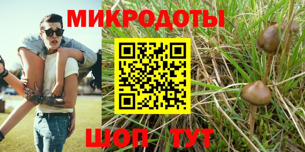 Псилоцибиновые грибы Psilocybine cubensis Азнакаево