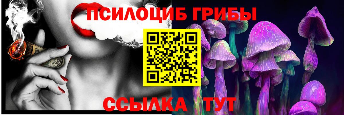 Галлюциногенные грибы Psilocybe  Вход с VPN  Азнакаево 